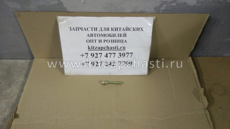 Болт крепления топливной форсунки Baw Fenix 1044 Евро 3 1112033-55D